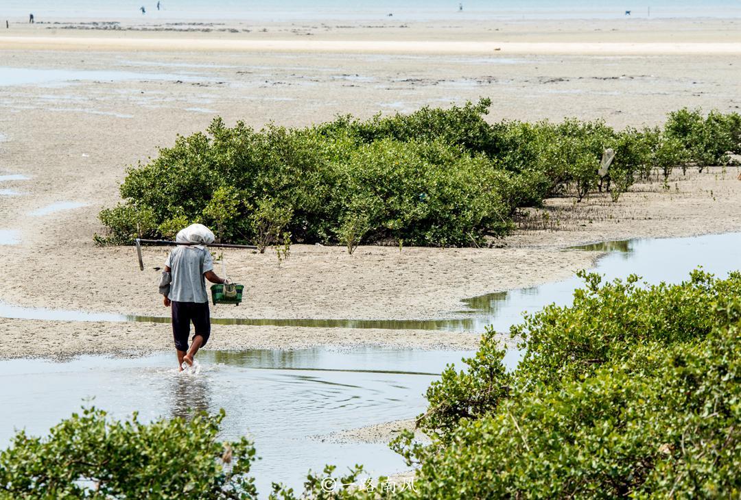 北海省市代码_北海市市_北海市在哪个省