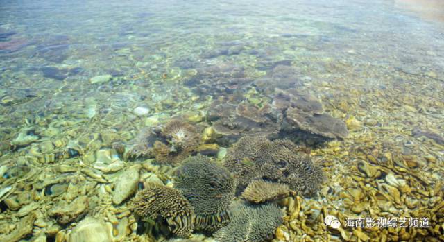 西沙群岛自由行怎么去_去西沙群岛贵吗_西沙群岛怎么去