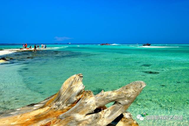 去西沙群岛贵吗_西沙群岛怎么去_西沙群岛自由行怎么去