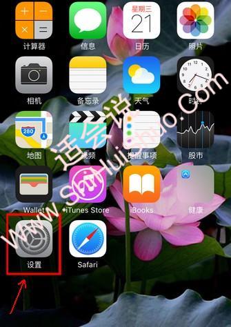 icloud安全码是什么-图2