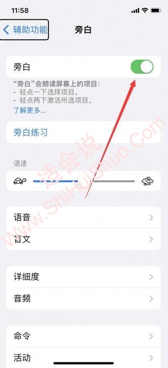 苹果旁白怎么关闭按三下-图3