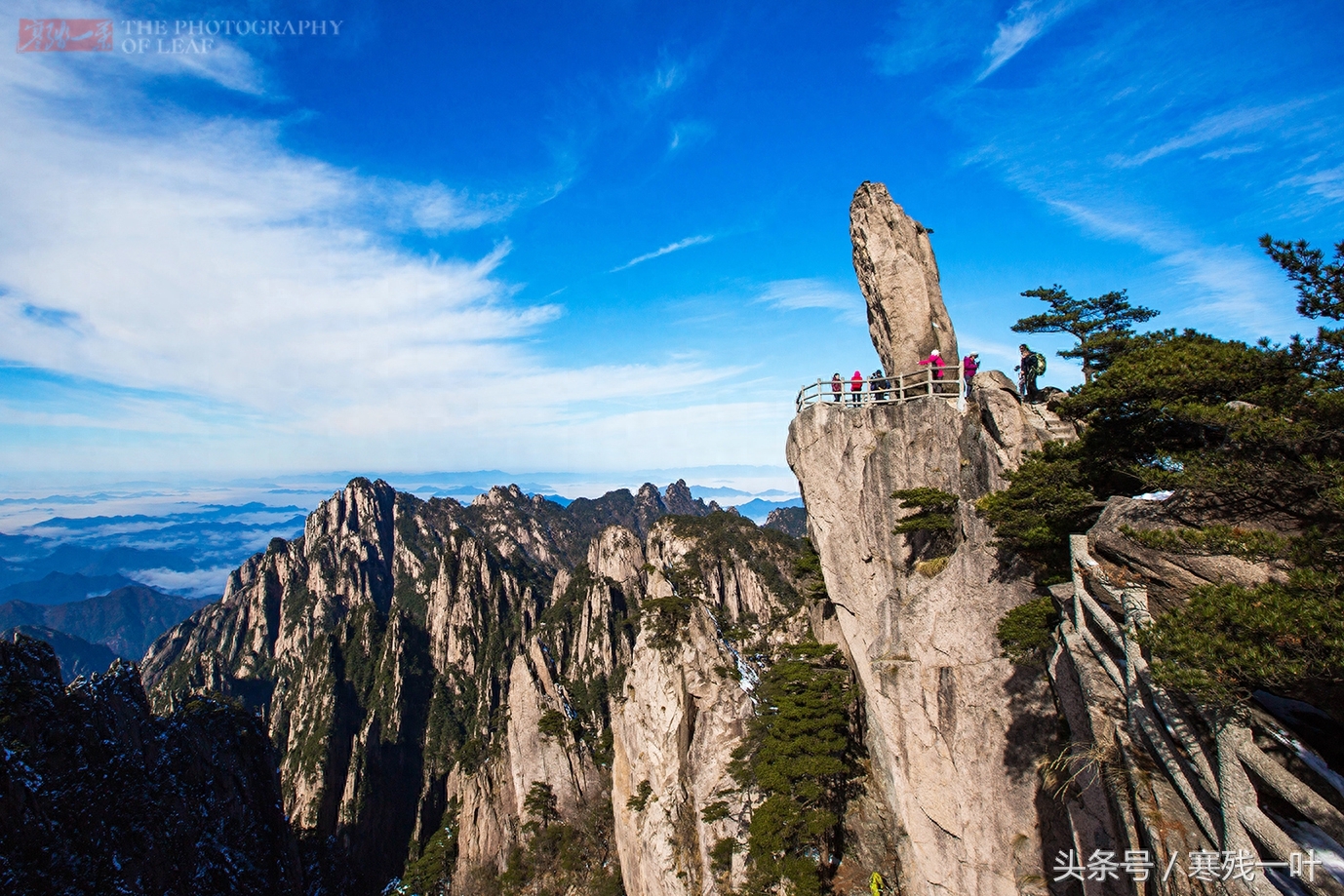 黄山景区门票终于降价了，从230元降到99元，网友却这么说