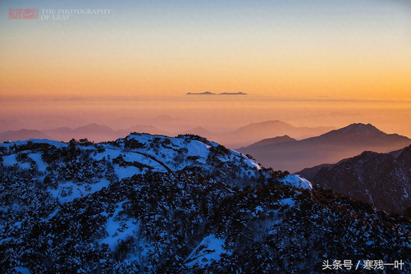 黄山景区门票终于降价了，从230元降到99元，网友却这么说