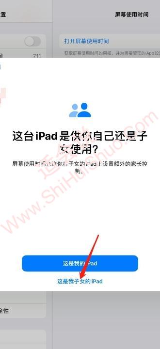 ipad如何设置儿童权限-图3