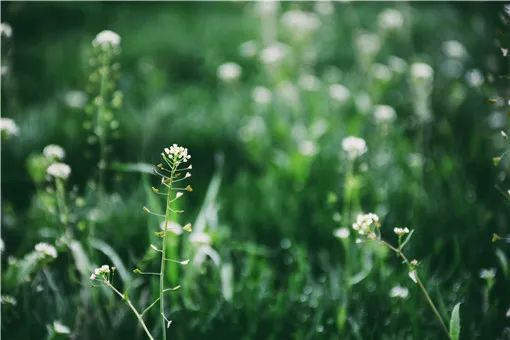 阳历农历是一个意思吗_阳历农历是多少_阳历是农历吗
