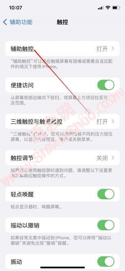 苹果小白点设置在哪里-图4