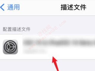 苹果手机描述文件删除不了怎么解决-图3
