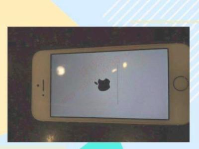 苹果手机白屏了怎么修复-图2