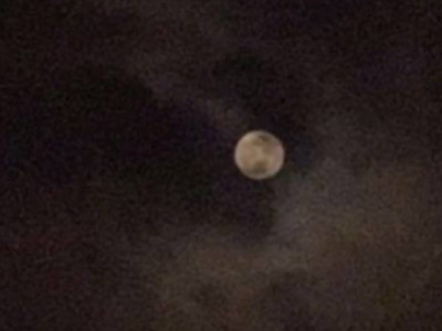 苹果12如何拍月亮-图4