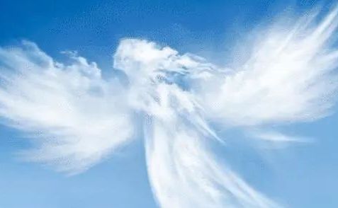 棺材梦见_棺材预兆梦见是怎么回事_梦见棺材是什么预兆