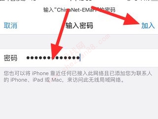 苹果手机4G网络卡怎么解决-图7