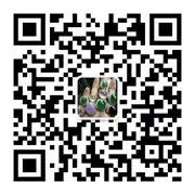 挑选玉镯子的方法_挑选玉镯的方法有哪些_如何挑选玉镯