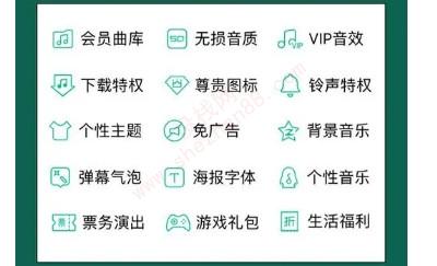 qq音乐绿钻和超级会员区别-图4