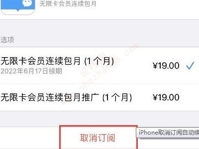 苹果手机怎么取消订阅自动续费-图4