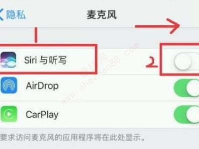 麦克风启用不成功苹果手机-图4