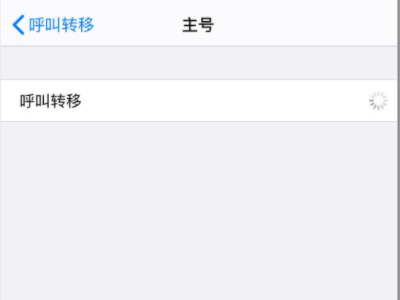 iphone呼叫转移一直转圈圈怎么办-图4