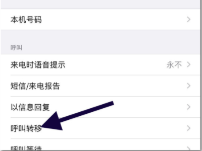 iphone呼叫转移一直转圈圈怎么办-图2