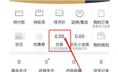 京东白条会自动还款吗-图1