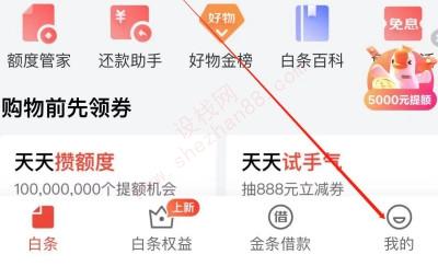 京东白条会自动还款吗-图2