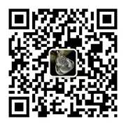 分辨翡翠真假_分辨翡翠原石_如何分辨翡翠