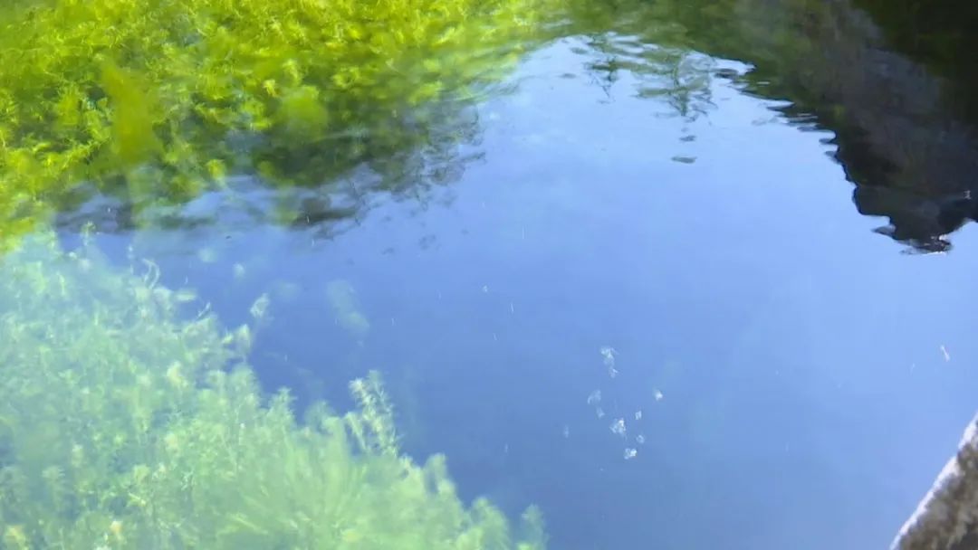 金山寺简介_金山寺在哪里_金山寺求什么最灵验