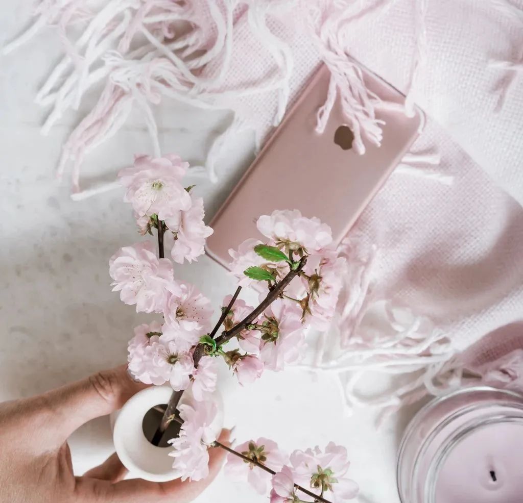 属猪的和什么属相最配_属猪相配生肖_猪属猪的跟什么相配