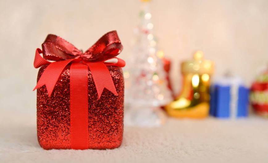 牡丹几月份开花_牡丹花盛开的月份_牡丹开花的季节是几月