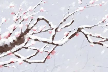 冬至月是什么星座_冬至月是什么意思_冬至日是几月几日