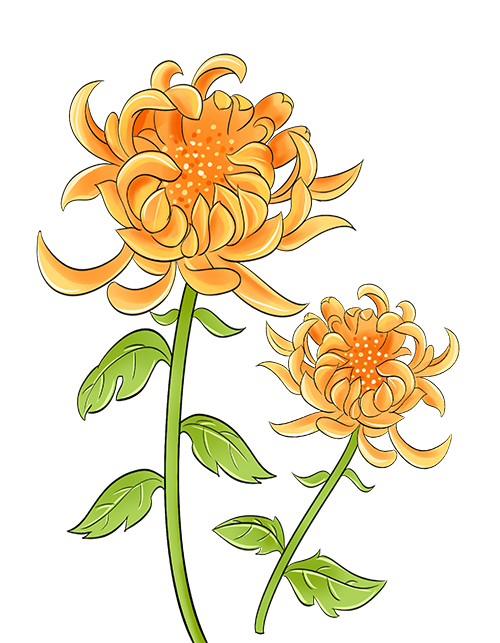 重阳节有哪些习俗_重阳节有哪些习俗_重阳节有哪些习俗