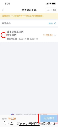 缴费保险医疗网上怎么查询_医疗保险网上参保_医疗保险网上怎么缴费